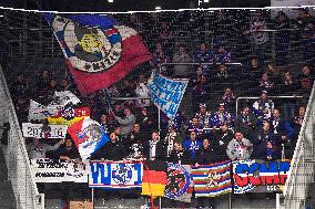 Hockey fans, fan of Mannheim