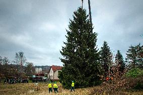 Christmas tree for Prague