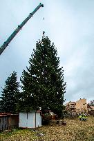 Christmas tree for Prague