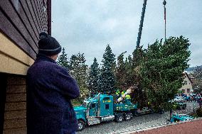 Christmas tree for Prague