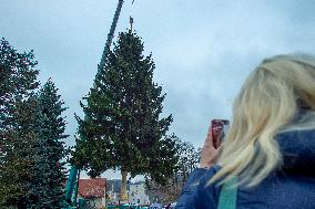 Christmas tree for Prague
