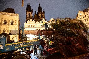 Prague Christmas tree, Old Town Square, installation