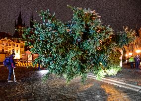 Prague Christmas tree, Old Town Square, installation