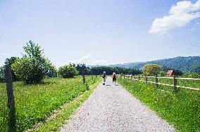 Zitkova Moravian Kopanice countryside, landscape, meadows, road, path, pasture land