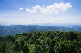 White Carpathians