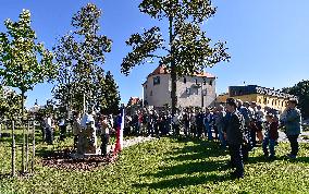 unveiling of memorial on occasion of 75 years since of U.S. bomber Liberator B-24 crash