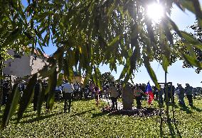 unveiling of memorial on occasion of 75 years since of U.S. bomber Liberator B-24 crash