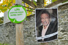 pious place in front of Karel Gott's tree