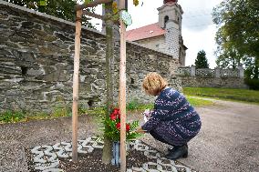 pious place in front of Karel Gott's tree