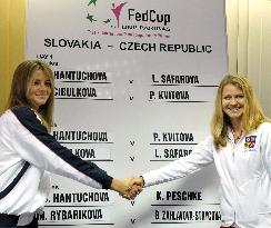 DANIELA HANTUCHOVA, LUCIE SAFAROVA