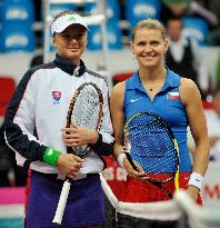 Daniela Hantuchova, Lucie Safarova