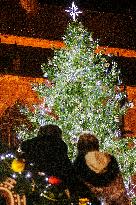 Christmas tree, Pilsen, market