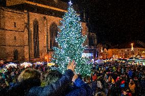 Christmas tree, Pilsen, market