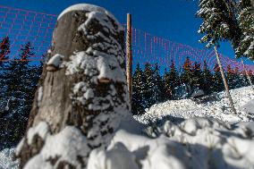 snowcat moves snow in ski resort