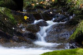 River Vydra, Sumava, nature, water