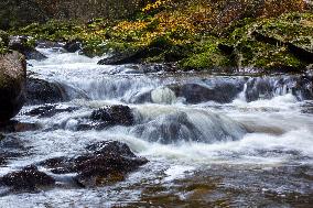 River Vydra, Sumava, nature, water