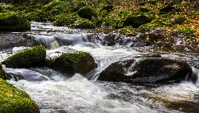 River Vydra, Sumava, nature, water