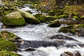 River Vydra, Sumava, nature, water