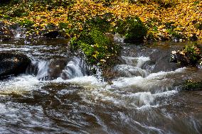 River Vydra, Sumava, nature, water