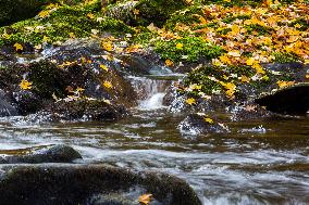 River Vydra, Sumava, nature, water