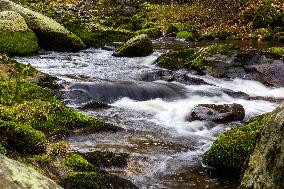 River Vydra, Sumava, nature, water