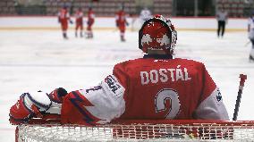 Jakub Dostal