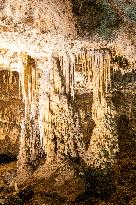 The Macocha Abyss, the Macocha Gorge, Moravian Karst, river