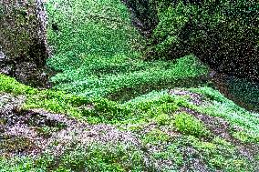 The Macocha Abyss, the Macocha Gorge, Moravian Karst, river