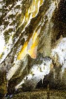 The Macocha Abyss, the Macocha Gorge, Moravian Karst, river