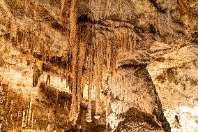 The Macocha Abyss, the Macocha Gorge, Moravian Karst, river