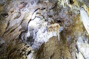 The Macocha Abyss, the Macocha Gorge, Moravian Karst, river