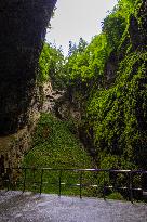 The Macocha Abyss, the Macocha Gorge, Moravian Karst, river