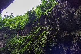 The Macocha Abyss, the Macocha Gorge, Moravian Karst, river