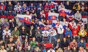 Slovak fans