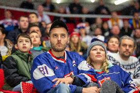 Slovak fans, fan