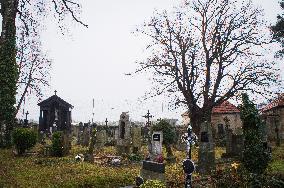 the Significant (veteran) tree, Tilia, lime tree on old graveyard by Cemetery Church of St Wenceslas