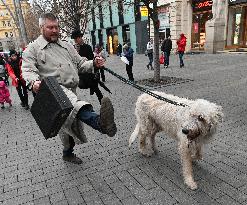 International Silly Walk Day, Brno