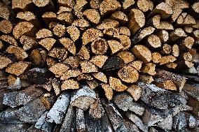 timber, firewood