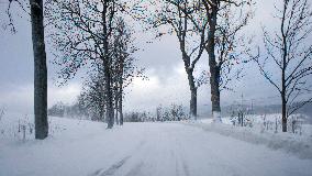 country road, winter, snow, landscape