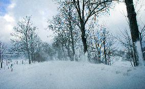 country road, winter, snow, landscape