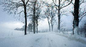country road, winter, snow, landscape