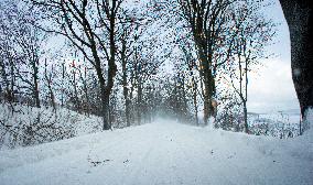 country road, winter, snow, landscape