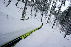 forest, winter, snow, skier