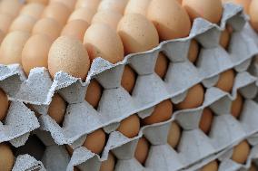 tray of fresh eggs, egg
