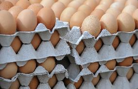 tray of fresh eggs, egg