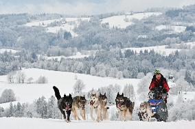 Sedivackuv long race, mushing, musher, dogs, dog team, race, husky