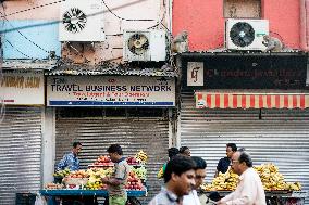 Chandni Chowk, market, fruits, bananas, vendor, fourwheeler, monkey, monkeys, air condition, ventilator