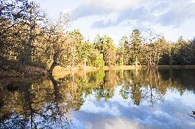 Pruhonice Park, Labeska pond