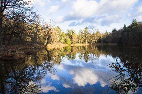 Pruhonice Park, Labeska pond