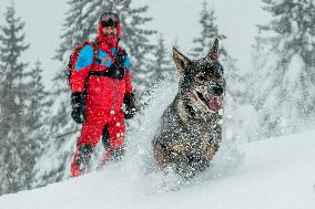 Mountain Rescue Service, practice, dog